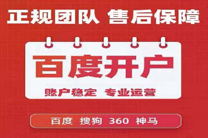 SEM推广实战：案例分析及效果评估